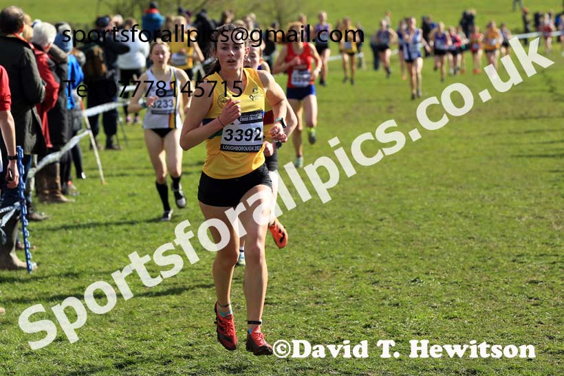 Womens Under-20s 2022 CAU Inter Counties Cross Country, Prestwold Hall, Loughborough.  Photo: David T. Hewitson/Sports for All Pics